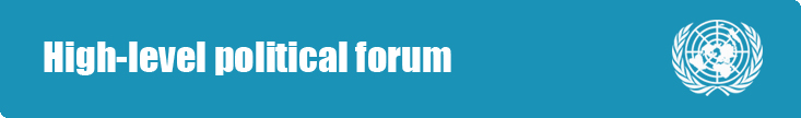 High-level political forum