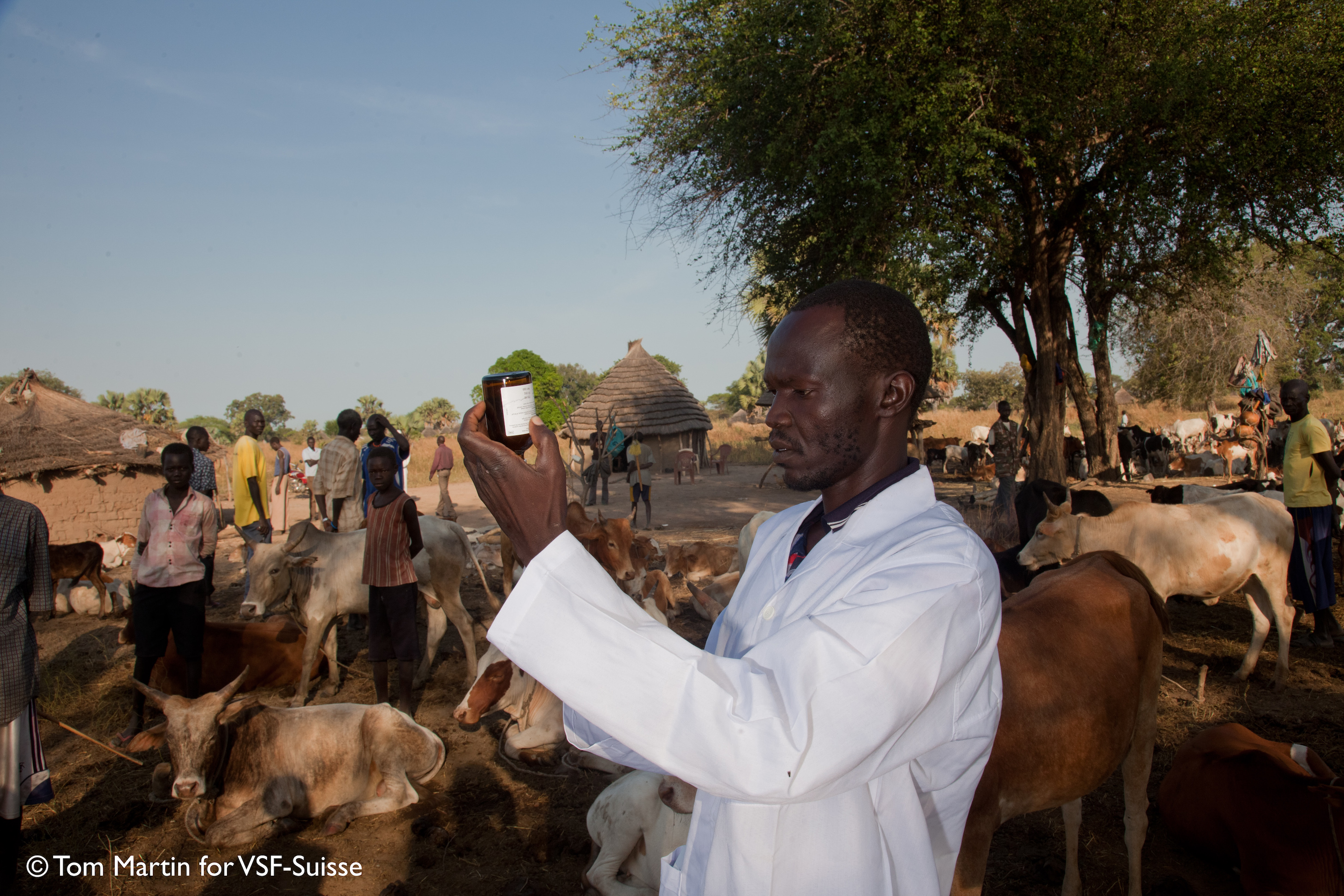 Community-Based Animal Health Workers (CAHWs): Guardians for quality,  localized animal health services in hard to reach livestock production  systems. - United Nations Partnerships for SDGs platform