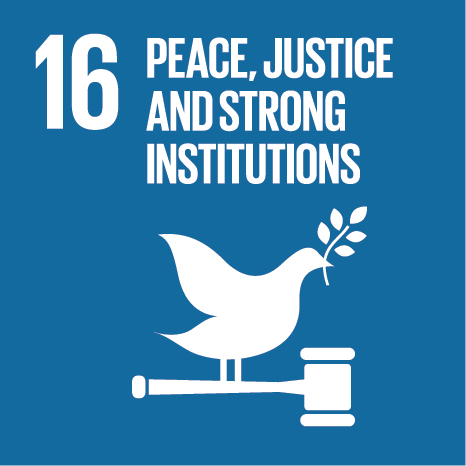 Image result for un sustainable development goal 16