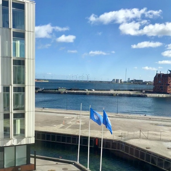 The UN flag flies outside UN City in Copenhagen