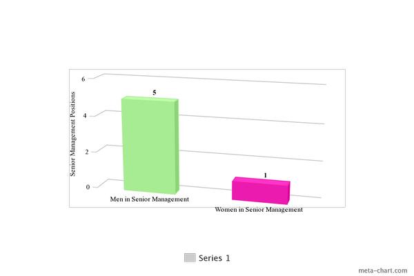 Fig 3: Gender discrepancy in senior management positions at technology firms.