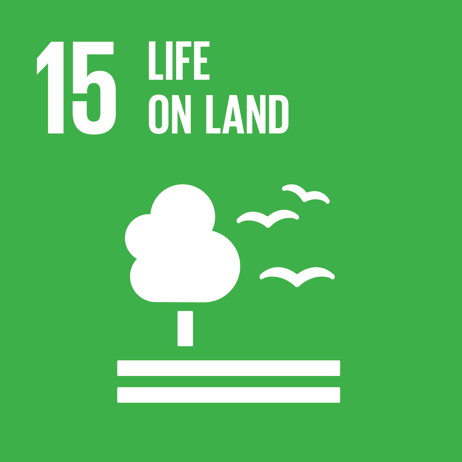 Goal 15: Life on Land - United Nations Sustainable Development